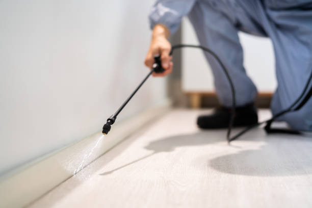 Bed Bug Pre-Treatment Preparation Assessment in North Merritt Island