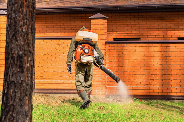 Bed Bug Clearance Verification and Documentation in North Merritt Island